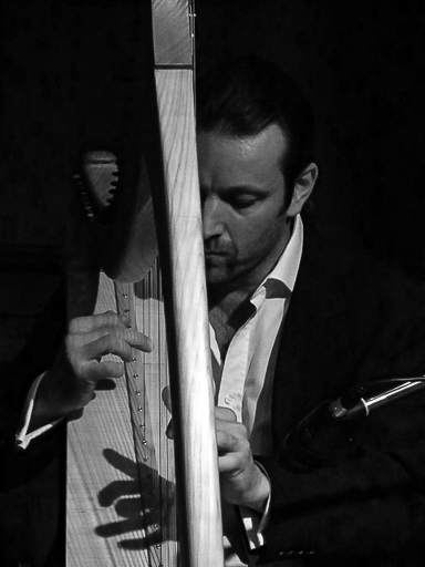 Ulrich Knopp - Dozent der Acoustic Music School für Harfe - Bild 02