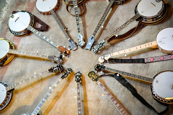 5-string Banjo - Hof Zippur - 2017