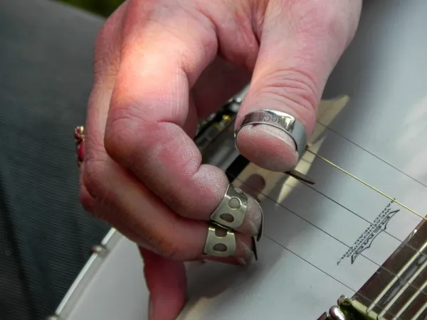 5-string Bluegrass Banjo - Hof Zippur - 2017