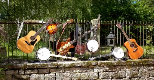 Play in a Bluegrass Band - Rohmühle - 2015