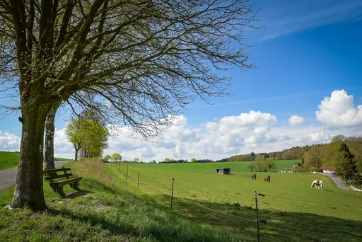Seminar gaestehaus odenwald hessen landschaft panorama