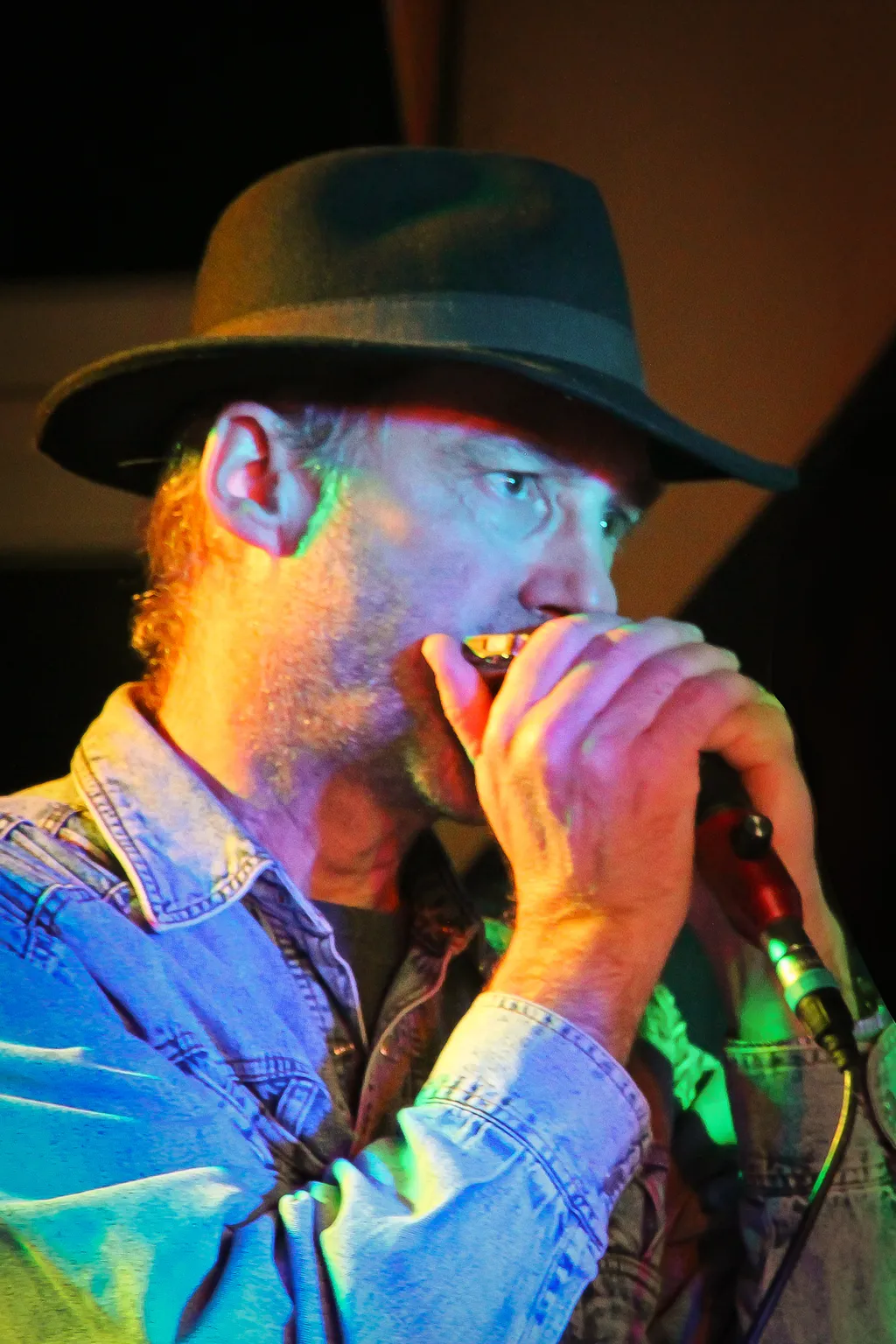 Martin Krüger - beim Bluesharp-Live-Auftritt