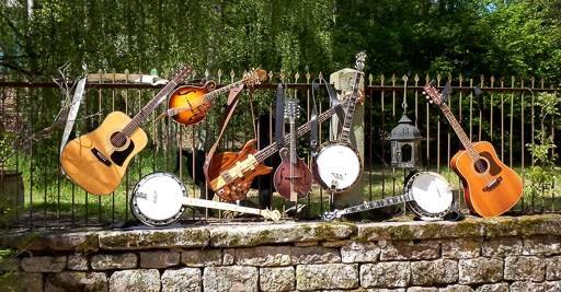Alle Instrumente des Bluegrass Workshop 2015